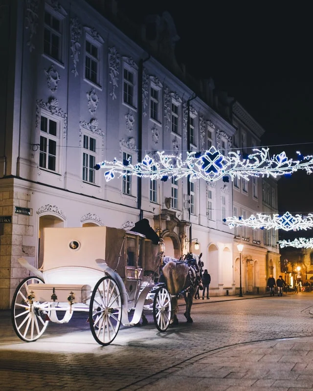 Carriage ride at night in New Orleans