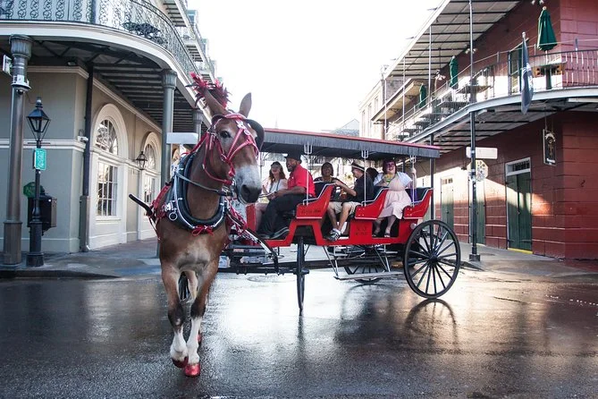 Carriage Ride through the French Quarter in New Orleans
