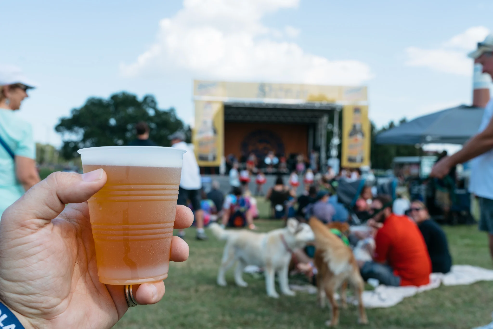 NOLA on Tap Festival